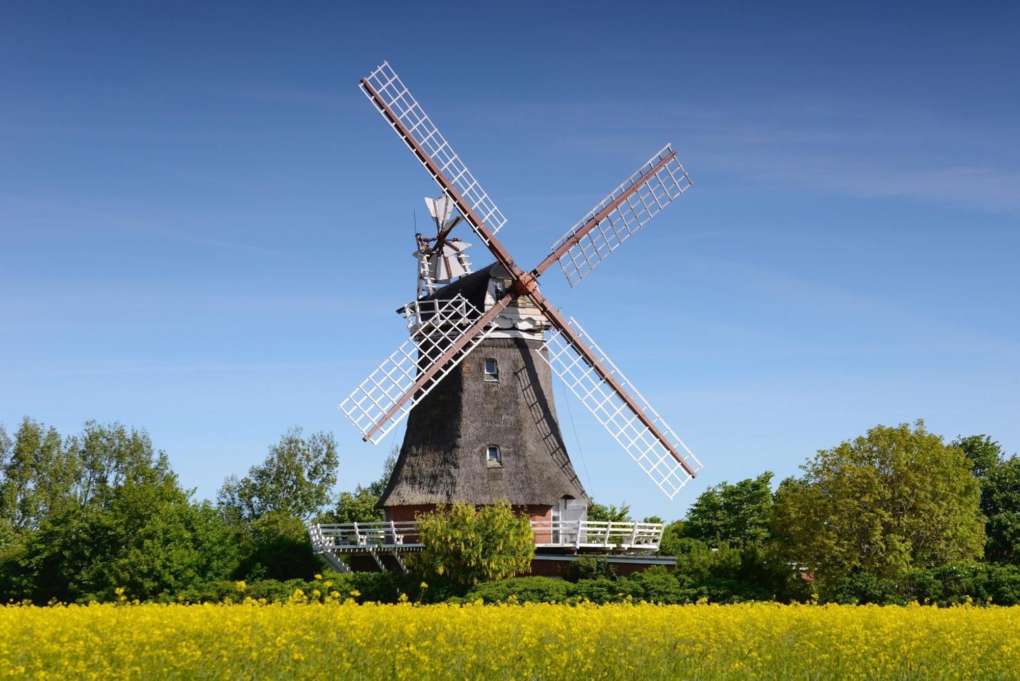 Haus Stoertebecker Apartamento Wyk auf Föhr Exterior foto